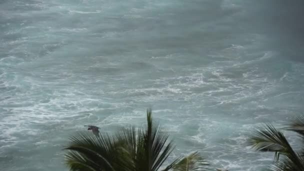 El impacto de las olas sobre los acantilados o la costa — Vídeo de stock