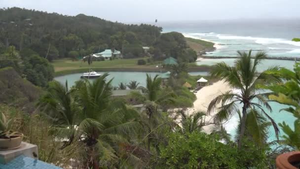 Palmer mot himlen eller havet 2 — Stockvideo