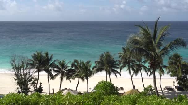 Palmové stromy proti obloze nebo moři 11 — Stock video