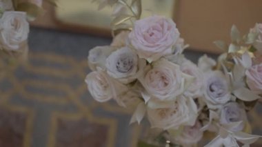 Taze beyaz ve bej güller 2