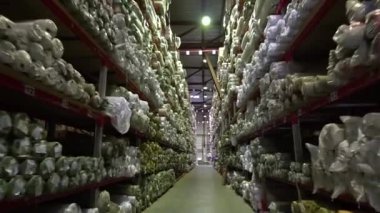 Depo, işletmede depo. Büyük raflar 6