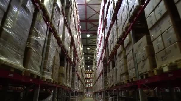Warehouse, storage at the enterprise. Large racks 1 — Stock Video