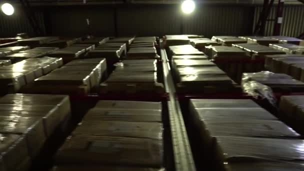 Warehouse, storage at the enterprise. Large racks 2 — Stock Video