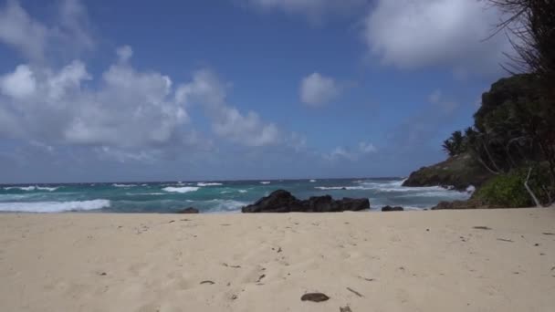 Die Auswirkungen der Wellen auf die Klippen oder die Küste 26 — Stockvideo