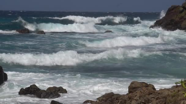 A hullámok hatása a sziklákra vagy a partvonalra 20 — Stock videók