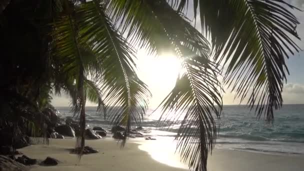 El sol poniente contra el océano Índico en Seychelles 6 — Vídeo de stock