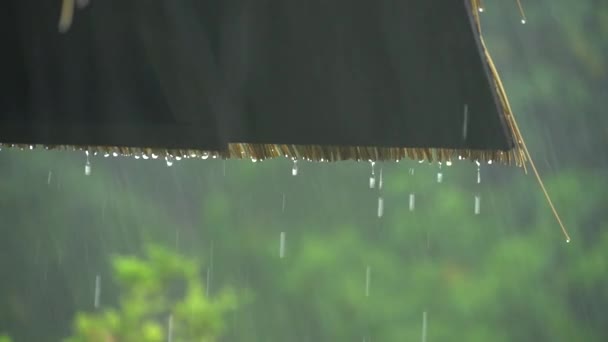 Tunga tropiska regn på ön under dagen 2 — Stockvideo