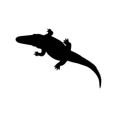 Timsah simgesi silueti, vahşi hayvan sembolü çizimi. Mobil tasarım için doğrusal stil işareti. Timsah şekilli logo çizimi. Vektör grafikleri