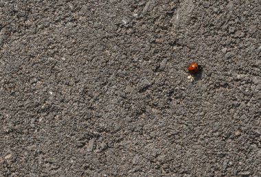  Doku yakın çekim deseni. Çatı katının iç dekorasyonu