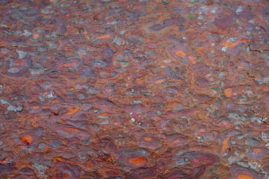 Büyük bir çam ağacının gövdesine yakın plan, çatlamış, kalın ağaç kabuğu. örüntü soyutlaması, orman