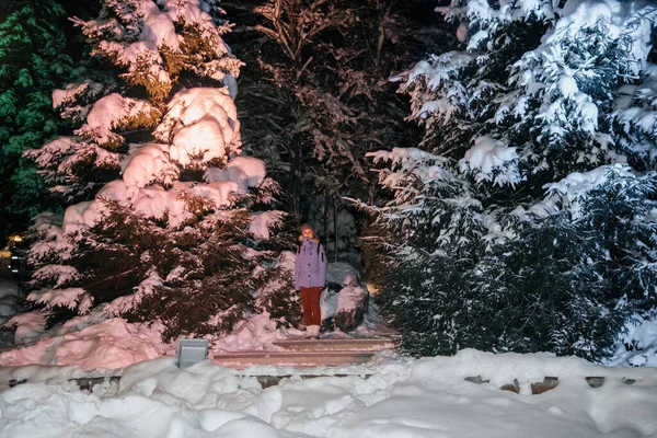 Winter nacht landschap van dennen en dennen. — Stockfoto