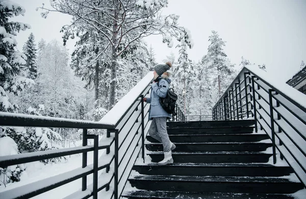 Winterlandschap van dennen en dennenbomen.ijzige dag winter sprookje — Stockfoto