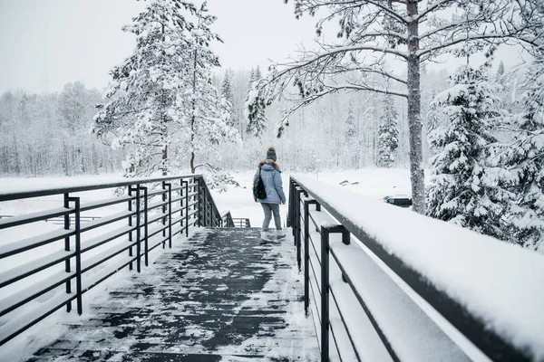 Winterlandschap van dennen en dennenbomen.ijzige dag winter sprookje — Stockfoto