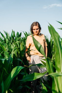 Sarı tişörtlü, mısır tarlasında kısa saçlı genç bir kadın.
