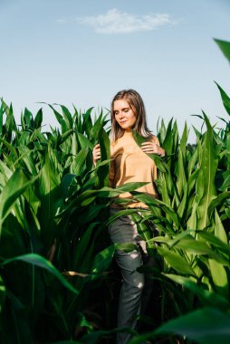 Sarı tişörtlü, mısır tarlasında kısa saçlı genç bir kadın.