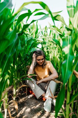 Sarı tişörtlü, mısır tarlasında kısa saçlı genç bir kadın.