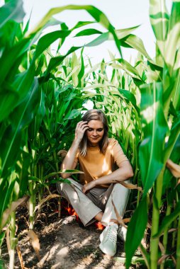 Sarı tişörtlü, mısır tarlasında kısa saçlı genç bir kadın.