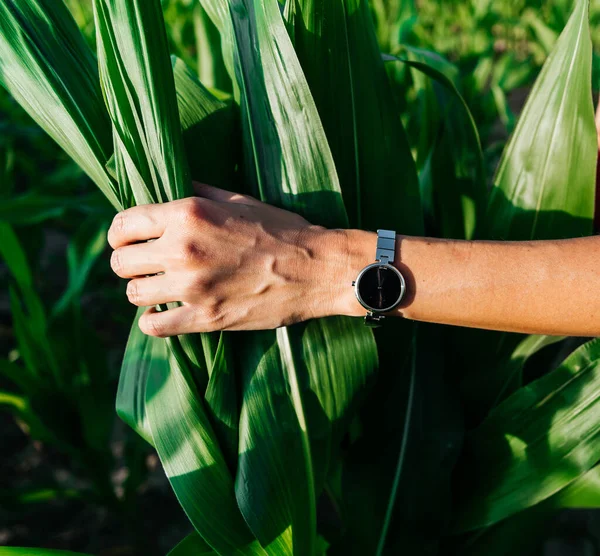 Close-up van een accessoire zwart horloge op een sierlijke dunne hand van een vrouw in de zonnestralen — Stockfoto