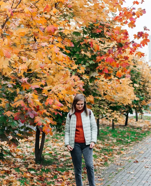 Fiatal nő ősz táj piros sárga juhar levelek, egy narancssárga kötött meleg pulóver — Stock Fotó