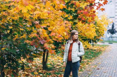 Genç bayan sonbahar manzarası kırmızı akçaağaç yaprakları, turuncu örülmüş sıcak bir süveter