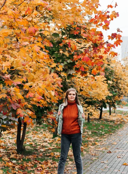 Jeune femme automne paysage rouge jaune feuilles d'érable, dans un pull chaud tricoté orange — Photo