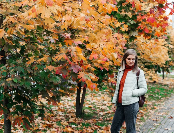 Młoda kobieta jesień krajobraz czerwony żółty klon liście, w pomarańczowy dzianina ciepły sweter — Zdjęcie stockowe