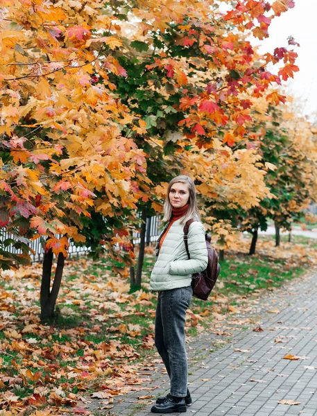 Fiatal nő ősz táj piros sárga juhar levelek, egy narancssárga kötött meleg pulóver — Stock Fotó