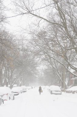 Montreal bir yerleşim bölgesinde karlı gün