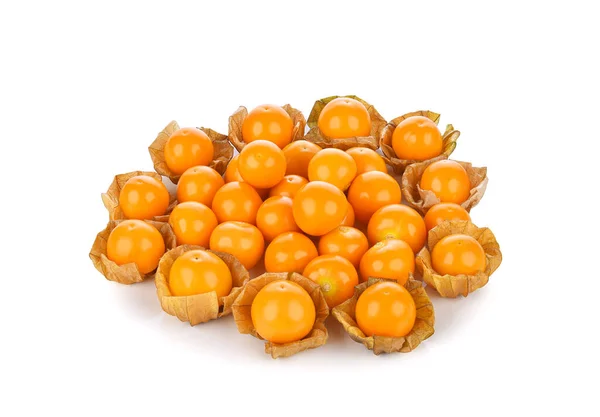 Мис Ґусеберрі Physalis Ізольований Білому Тлі — стокове фото