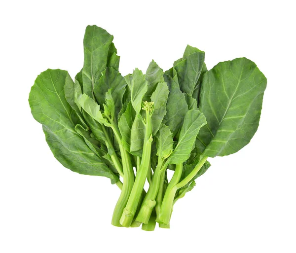 Chinese Kale Kailaan Hong Kong Kale Isolated White Background Top Royalty Free Stock Photos