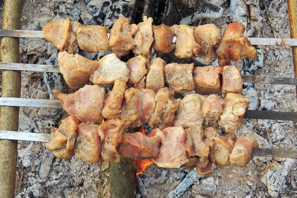 Carne Grelhada Perto Churrasco Saboroso Nos Fins Semana — Fotografia de Stock