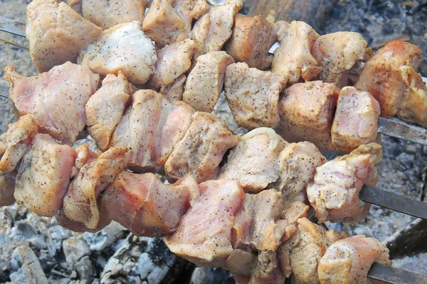 Carne Parrilla Cerca Sabrosa Barbacoa Los Fines Semana —  Fotos de Stock