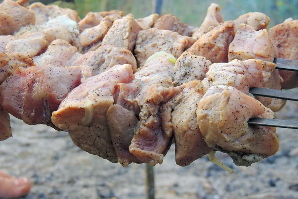 Gegrilltes Aus Nächster Nähe Leckeres Grillen Wochenende — Stockfoto