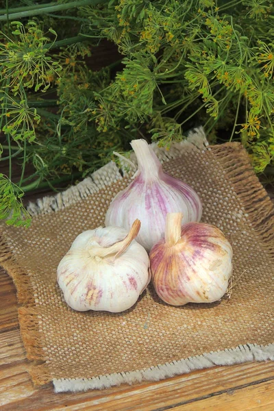 Frisches Gemüse Und Kräuter Rote Tomaten Rote Paprika Petersilie Dill — Stockfoto