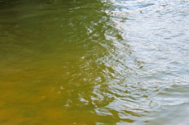 Dalgalı deniz ve berrak gökyüzü sakin okyanus yüzeyinde küçük dalgalanmalar