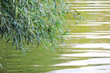 Dalgalı deniz ve berrak gökyüzü sakin okyanus yüzeyinde küçük dalgalanmalar