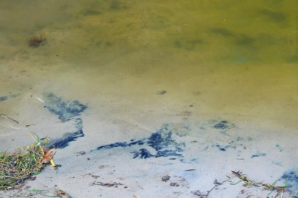 Море Волнами Ясным Небом Спокойная Поверхность Воды Океана Небольшими Рябями — стоковое фото