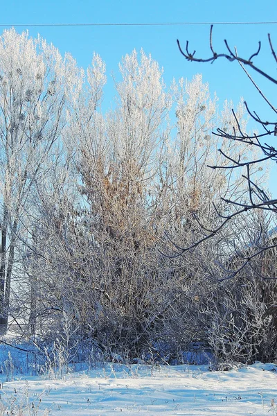 Paisaje Natural Invierno Los Árboles Blancos Después Las Nevadas —  Fotos de Stock