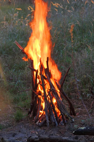 Bonfire Осінньому Лісі Під Світлом Заходу Сонця — стокове фото