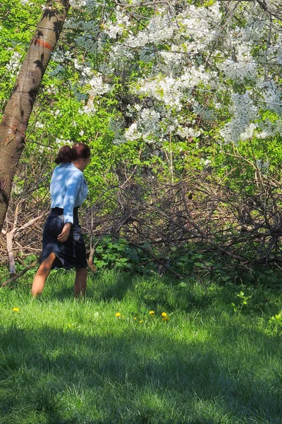 Junge Kastanienblätter Zeitigen Frühling Vor Einem Nahezu Klaren Blauen Himmel — Stockfoto
