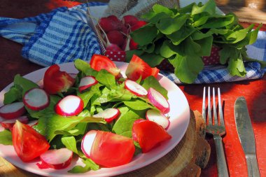 Arugula, Turp ve Domatesli Diyet Salatası