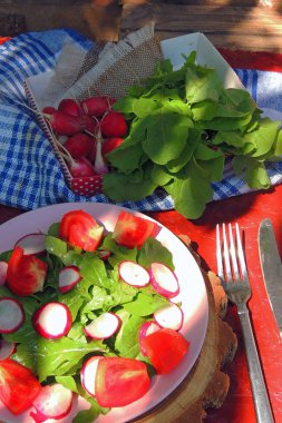 Arugula, Turp ve Domatesli Diyet Salatası