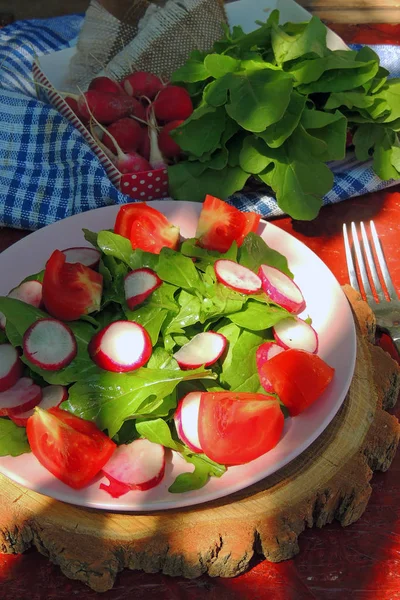 Ensalada dietética con rúcula, rábano y tomate —  Fotos de Stock