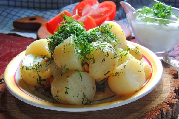 Kokt baby potatis med dill — Stockfoto