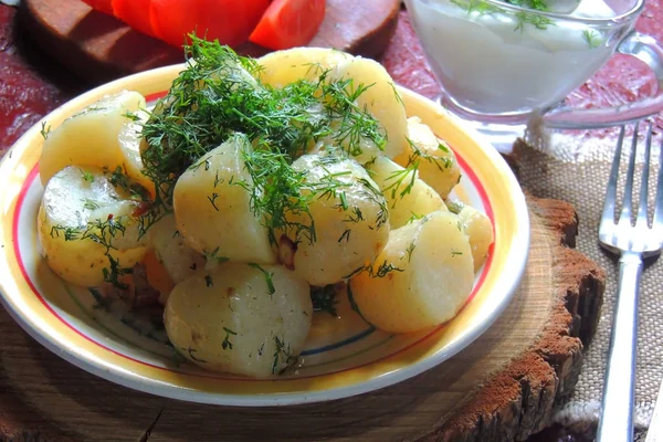 Haşlanmış bebek patates dereotu ile — Stok fotoğraf