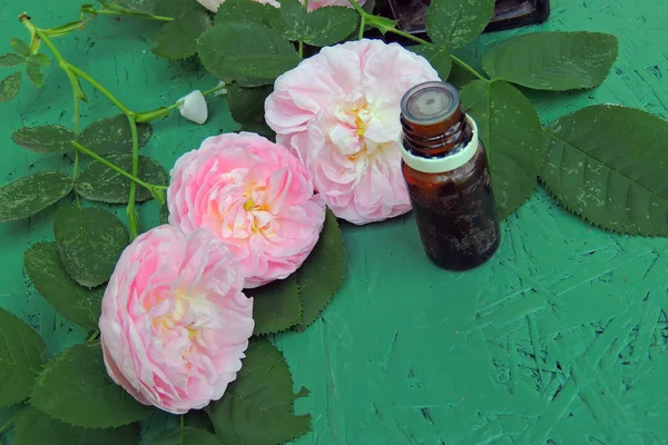 Olejek i róża — Zdjęcie stockowe