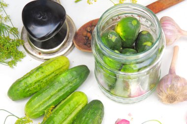 kış için spin salatalık