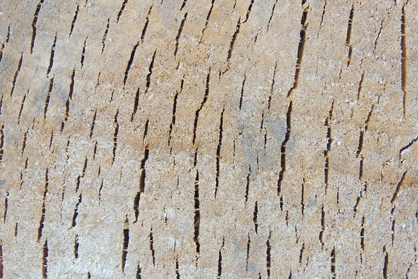 Wooden background. abstraction — Stock Photo, Image