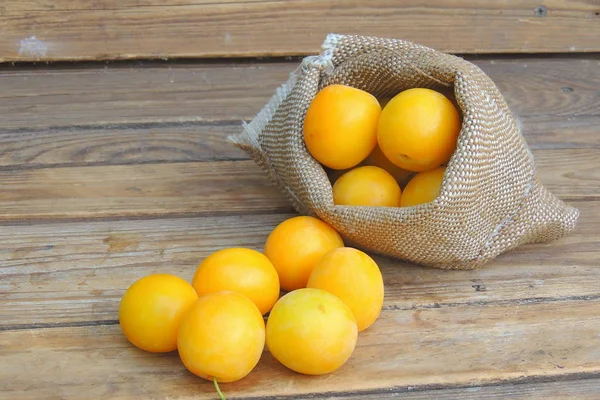 Yellow cherry plum — Stock Photo, Image