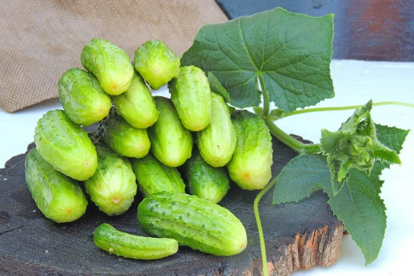 Pepinos em uma tábua de madeira — Fotografia de Stock